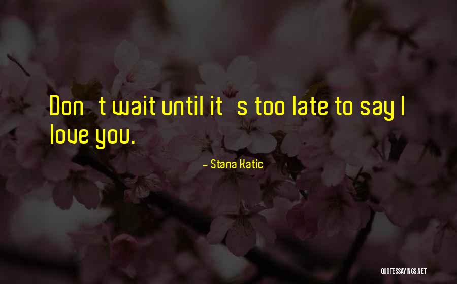 Waiting To Say I Love You Quotes By Stana Katic