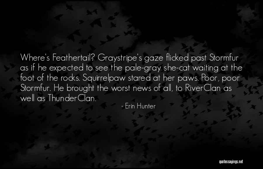 Waiting To See Her Quotes By Erin Hunter