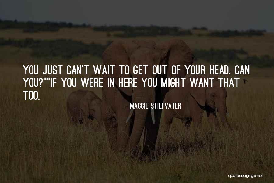 Wajib Pajak Quotes By Maggie Stiefvater Wajib Pajak Quotes By Maggie Stiefvater