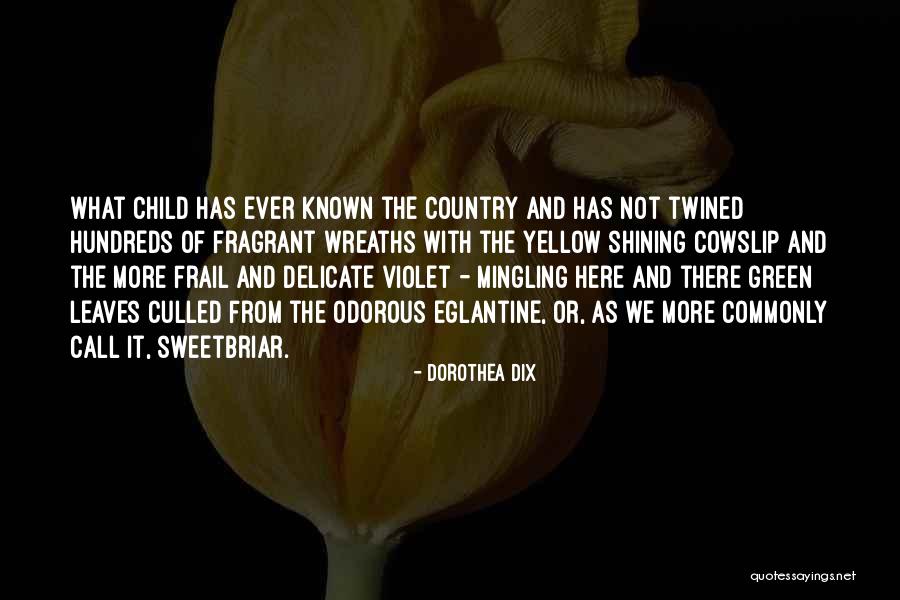 Wakamics Quotes By Dorothea Dix Wakamics Quotes By Dorothea Dix