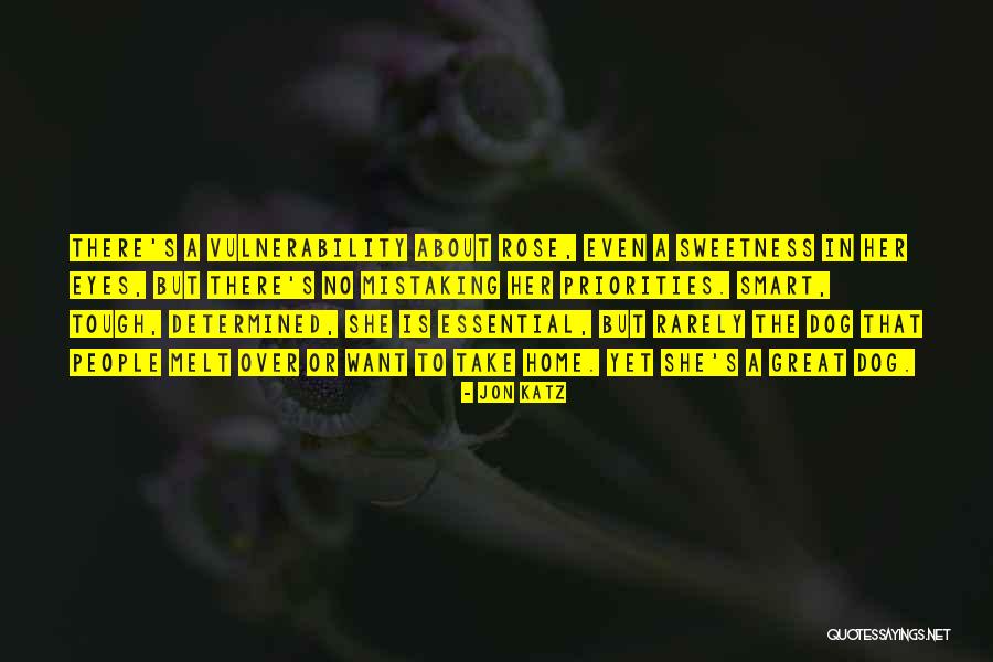 Wakamura Medellin Quotes By Jon Katz Wakamura Medellin Quotes By Jon Katz