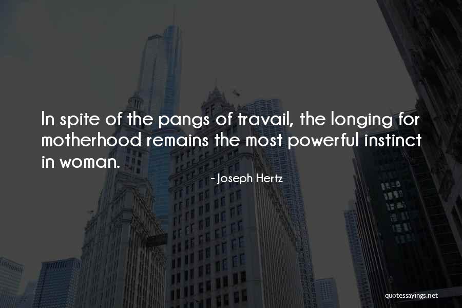 Wakasa Bay Quotes By Joseph Hertz