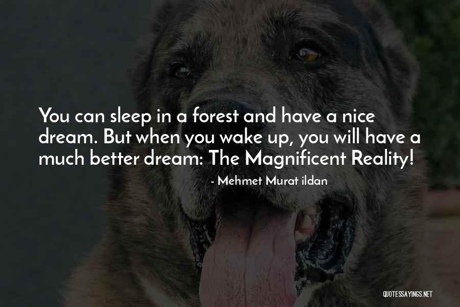 Wake Forest Quotes By Mehmet Murat Ildan Wake Forest Quotes By Mehmet Murat Ildan