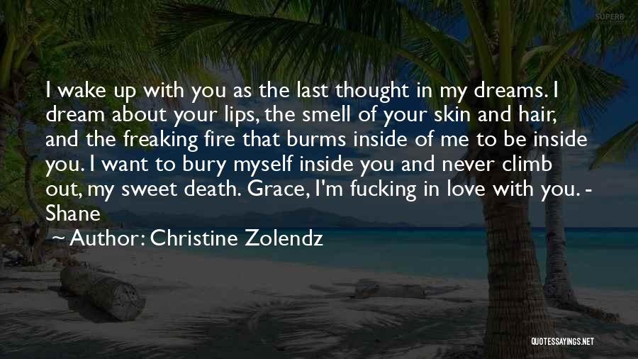 Wake Me Up Inside Quotes By Christine Zolendz