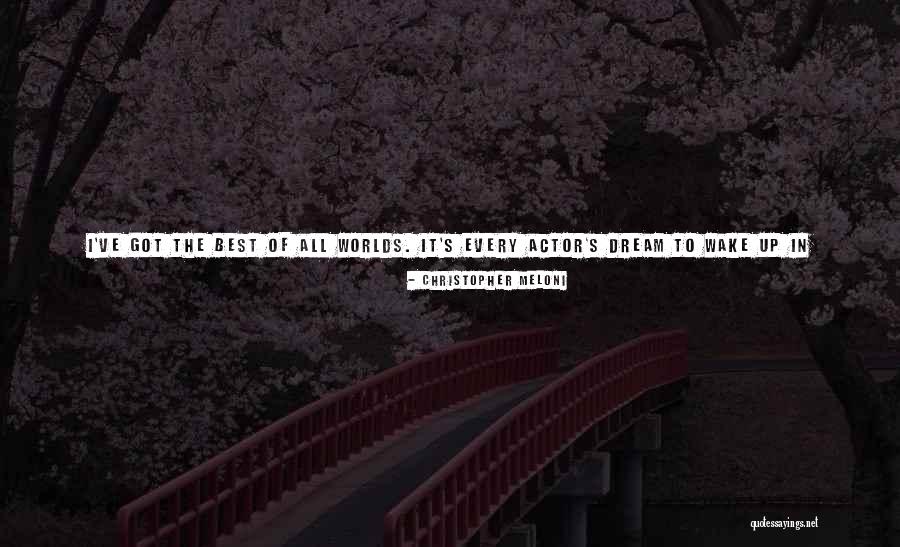 Wake Up And Dream Quotes By Christopher Meloni Wake Up And Dream Quotes By Christopher Meloni