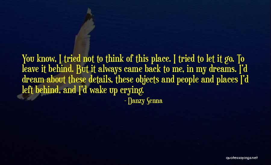 Wake Up And Dream Quotes By Danzy Senna Wake Up And Dream Quotes By Danzy Senna