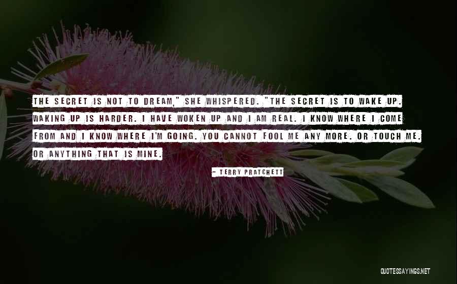 Wake Up And Dream Quotes By Terry Pratchett Wake Up And Dream Quotes By Terry Pratchett