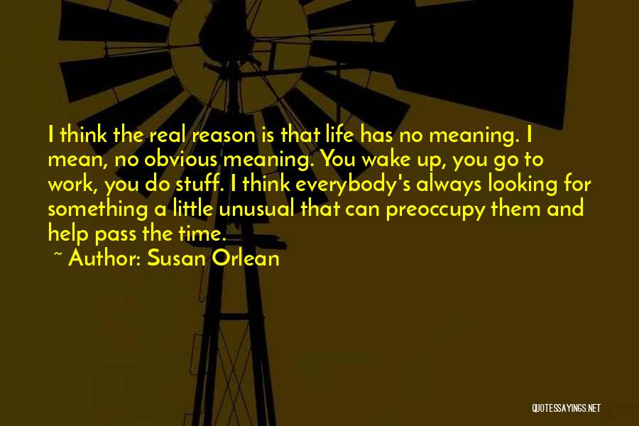 Wake Up And Go Quotes By Susan Orlean