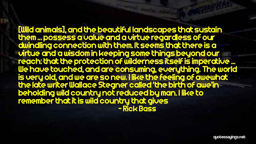 Wake Up Beautiful Quotes By Rick Bass