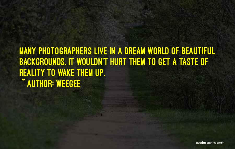 Wake Up Beautiful Quotes By Weegee