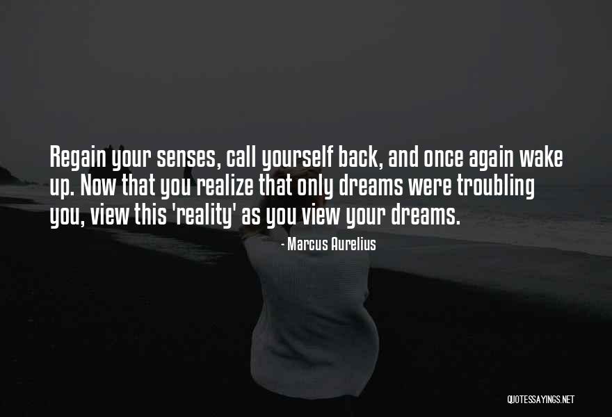 Wake Up Call Quotes By Marcus Aurelius Wake Up Call Quotes By Marcus Aurelius