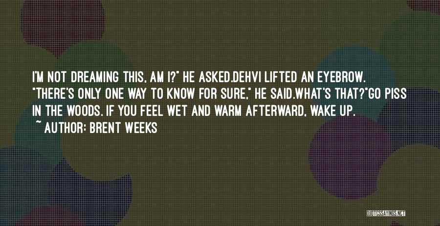 Wake Up Dreaming Quotes By Brent Weeks