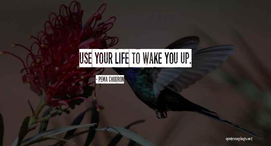Wake Up Positive Quotes By Pema Chodron Wake Up Positive Quotes By Pema Chodron