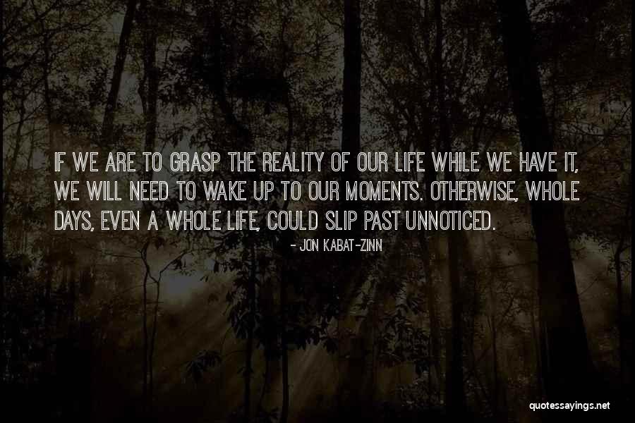 Wake Up To Reality Quotes By Jon Kabat-Zinn