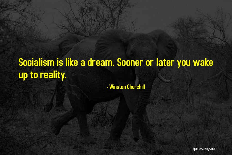 Wake Up To Reality Quotes By Winston Churchill Wake Up To Reality Quotes By Winston Churchill