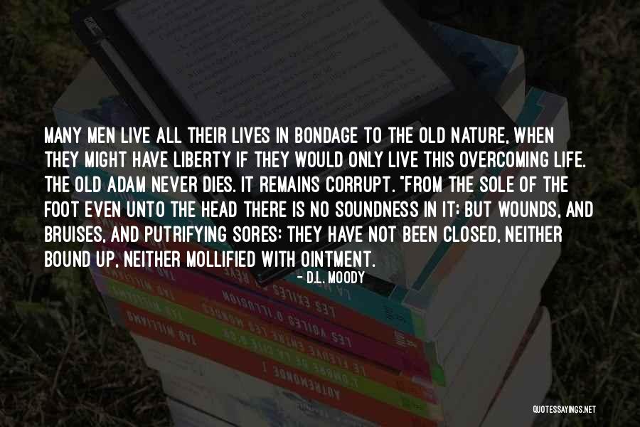 Wakeboarding Videos Quotes By D.L. Moody Wakeboarding Videos Quotes By D.L. Moody