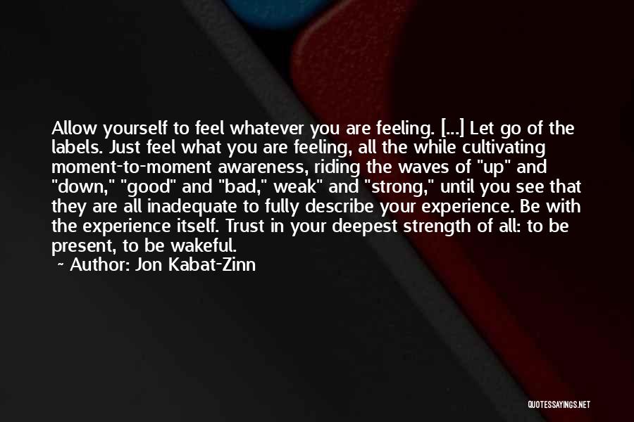 Wakeful Quotes By Jon Kabat-Zinn