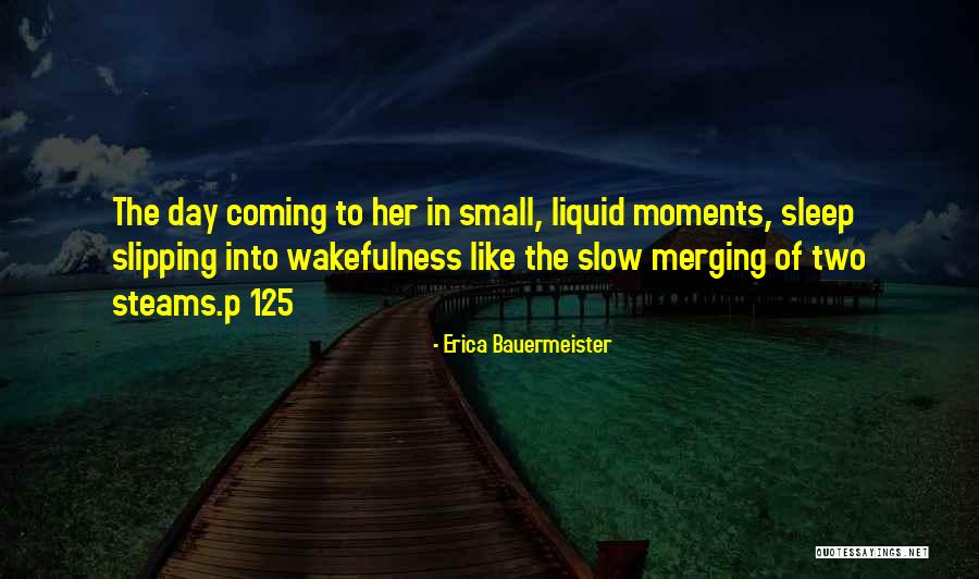 Wakefulness Quotes By Erica Bauermeister Wakefulness Quotes By Erica Bauermeister