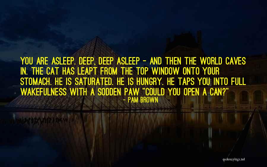 Wakefulness Quotes By Pam Brown Wakefulness Quotes By Pam Brown