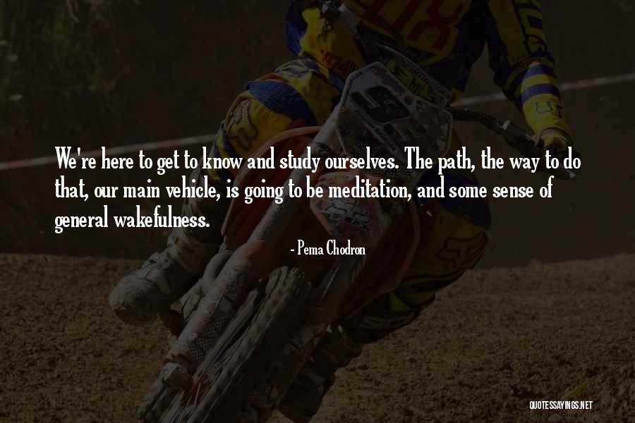 Wakefulness Quotes By Pema Chodron Wakefulness Quotes By Pema Chodron