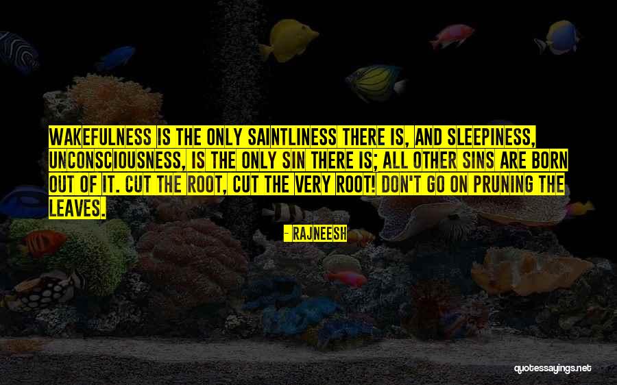 Wakefulness Quotes By Rajneesh Wakefulness Quotes By Rajneesh