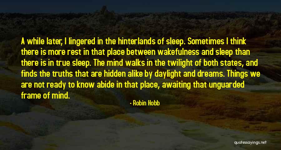 Wakefulness Quotes By Robin Hobb Wakefulness Quotes By Robin Hobb