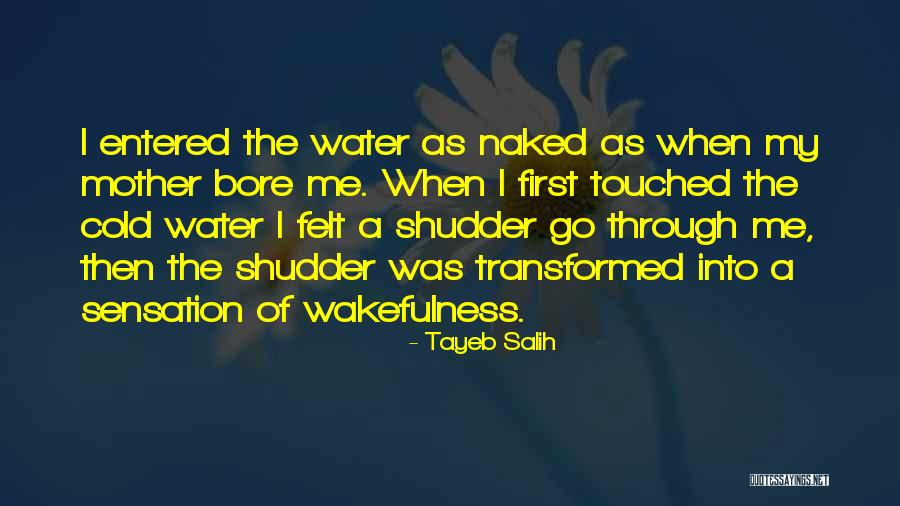 Wakefulness Quotes By Tayeb Salih Wakefulness Quotes By Tayeb Salih