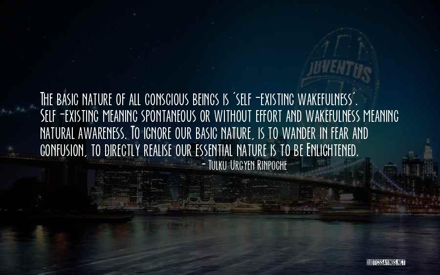 Wakefulness Quotes By Tulku Urgyen Rinpoche Wakefulness Quotes By Tulku Urgyen Rinpoche