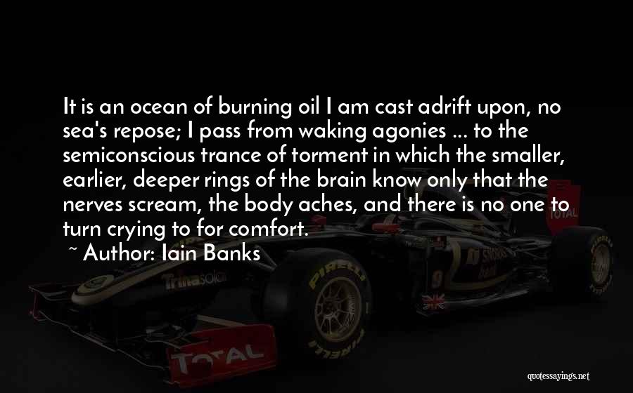 Waking Up In Pain Quotes By Iain Banks