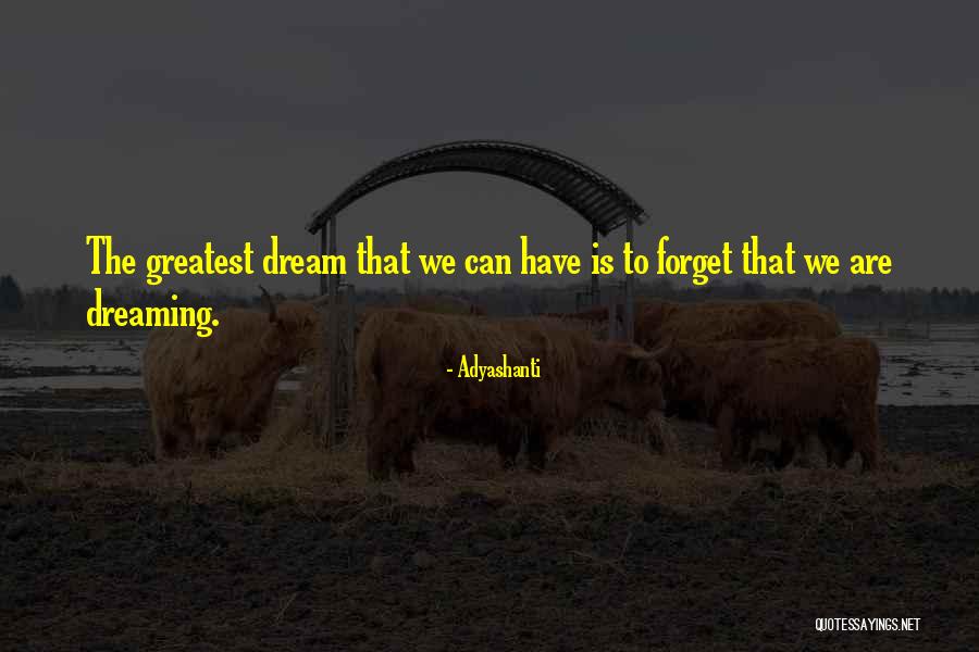 Waking Up To Reality Quotes By Adyashanti Waking Up To Reality Quotes By Adyashanti