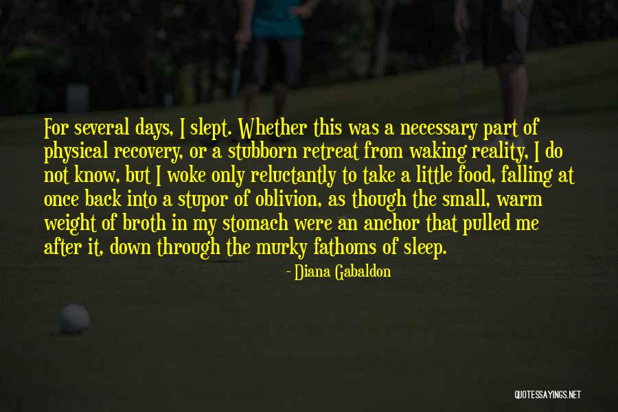 Waking Up To Reality Quotes By Diana Gabaldon Waking Up To Reality Quotes By Diana Gabaldon