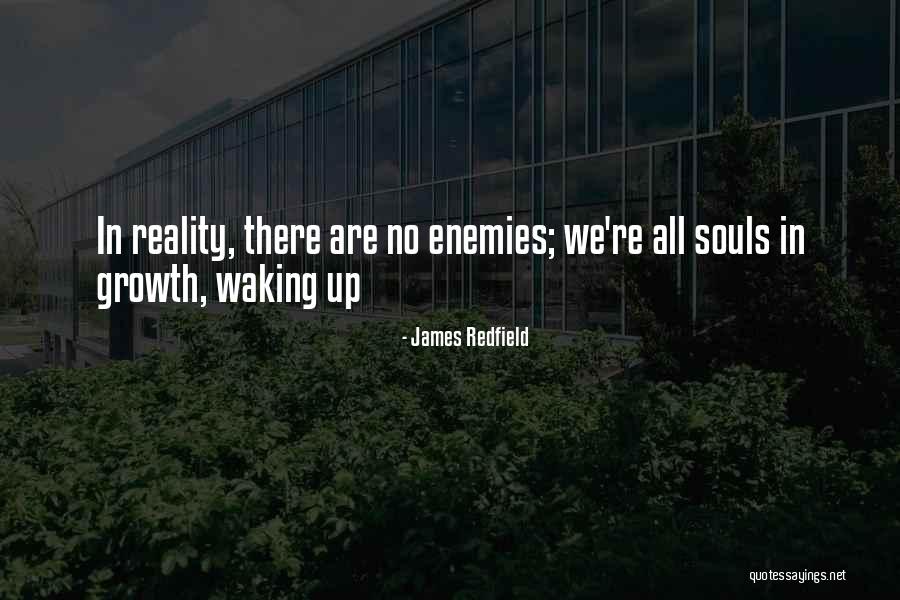 Waking Up To Reality Quotes By James Redfield Waking Up To Reality Quotes By James Redfield