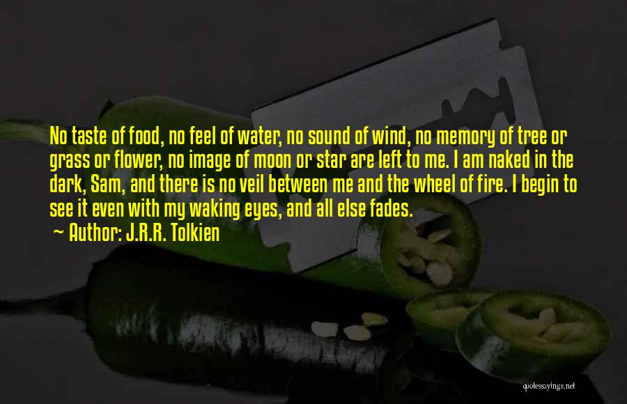 Waking Up To See You Quotes By J.R.R. Tolkien