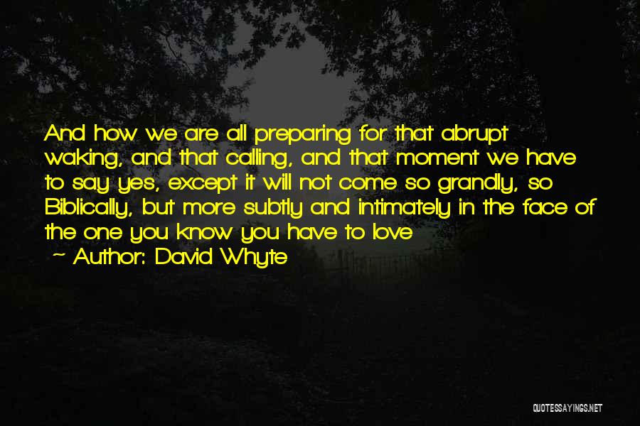 Waking Up With Your Love Quotes By David Whyte