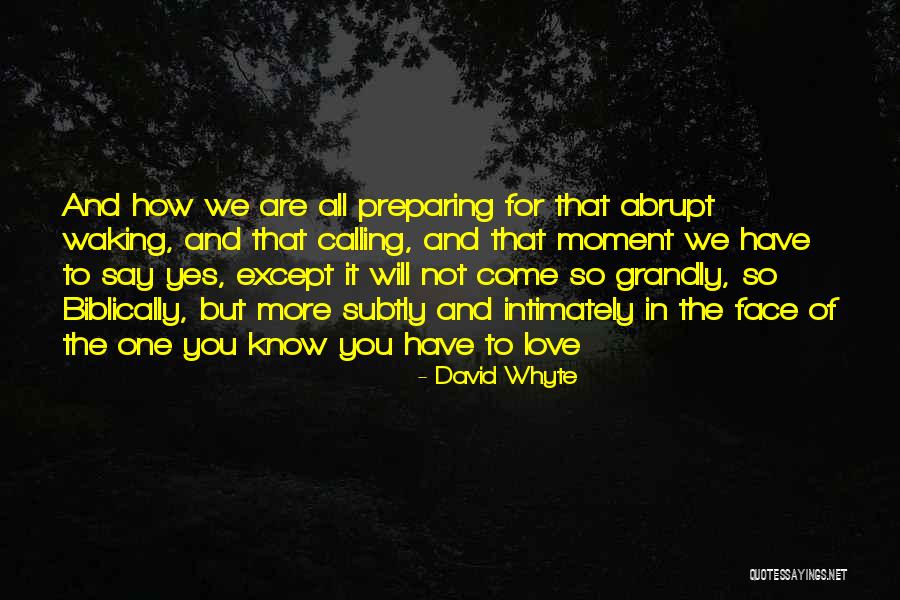 Waking Up With Your Love Quotes By David Whyte