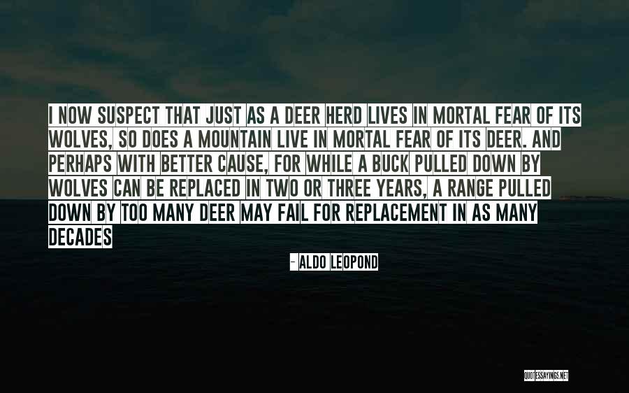 Wakjira Show Quotes By Aldo Leopond Wakjira Show Quotes By Aldo Leopond