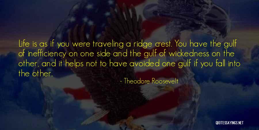 Walang Kwentang Quotes By Theodore Roosevelt