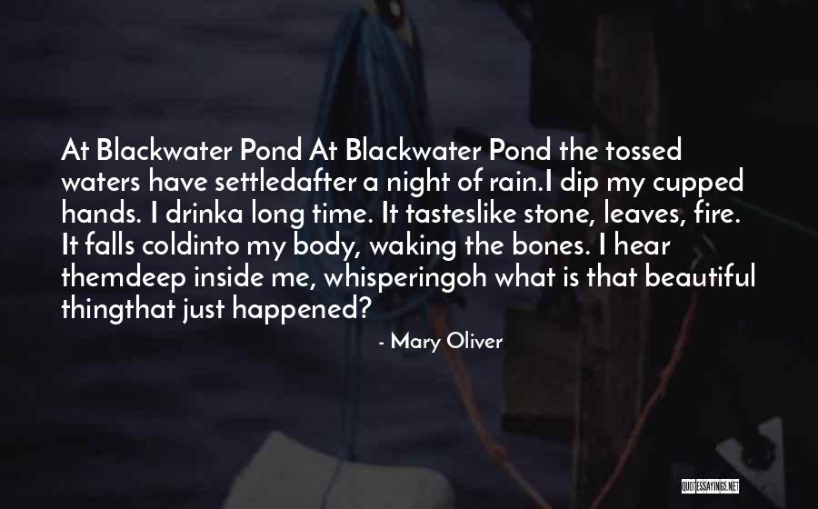 Walang Nagbago Quotes By Mary Oliver Walang Nagbago Quotes By Mary Oliver
