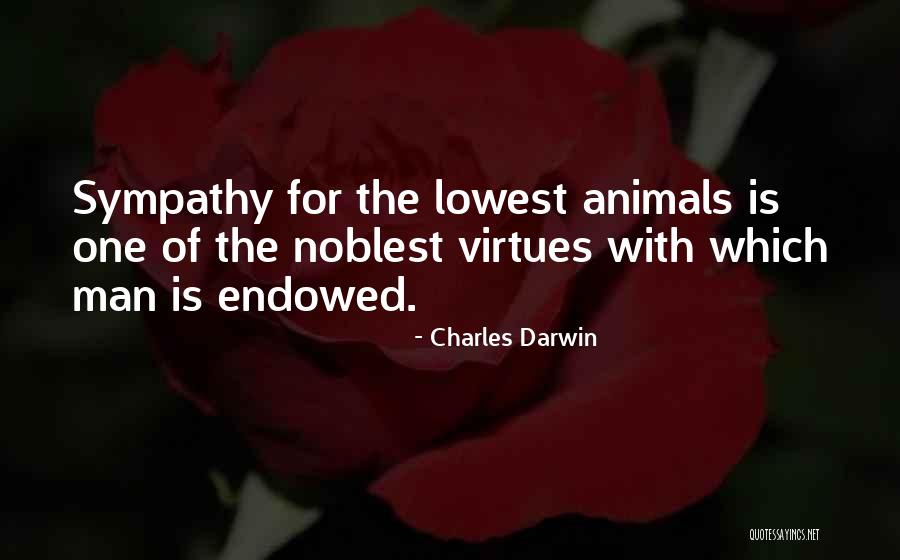 Walbrzych Rose Quotes By Charles Darwin Walbrzych Rose Quotes By Charles Darwin
