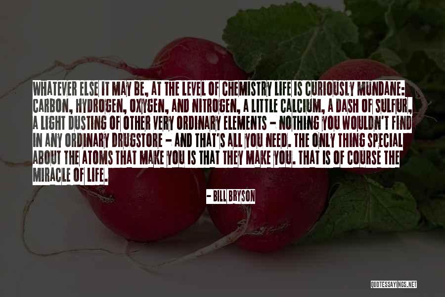 Walckenaeria Quotes By Bill Bryson Walckenaeria Quotes By Bill Bryson