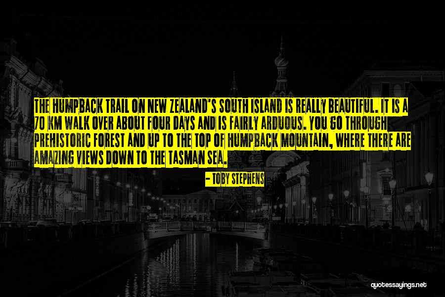 Waldbrunn Lamp Quotes By Toby Stephens Waldbrunn Lamp Quotes By Toby Stephens