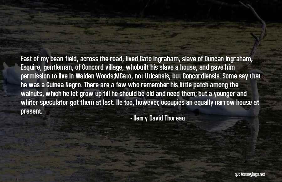 Walden Woods Quotes By Henry David Thoreau Walden Woods Quotes By Henry David Thoreau