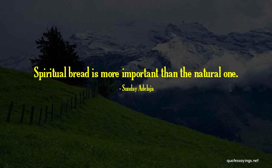 Waldenburg Bar Quotes By Sunday Adelaja