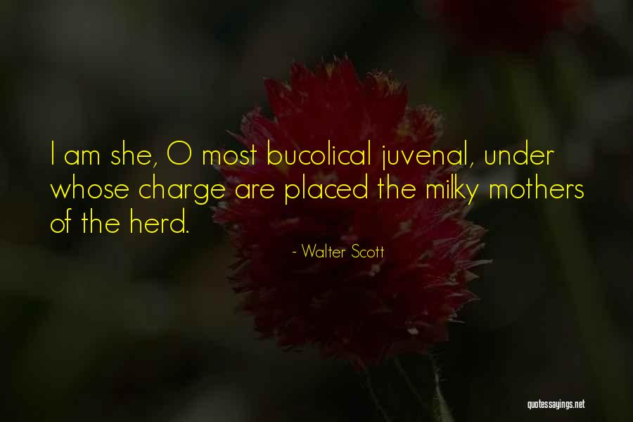 Waldershof Quotes By Walter Scott Waldershof Quotes By Walter Scott