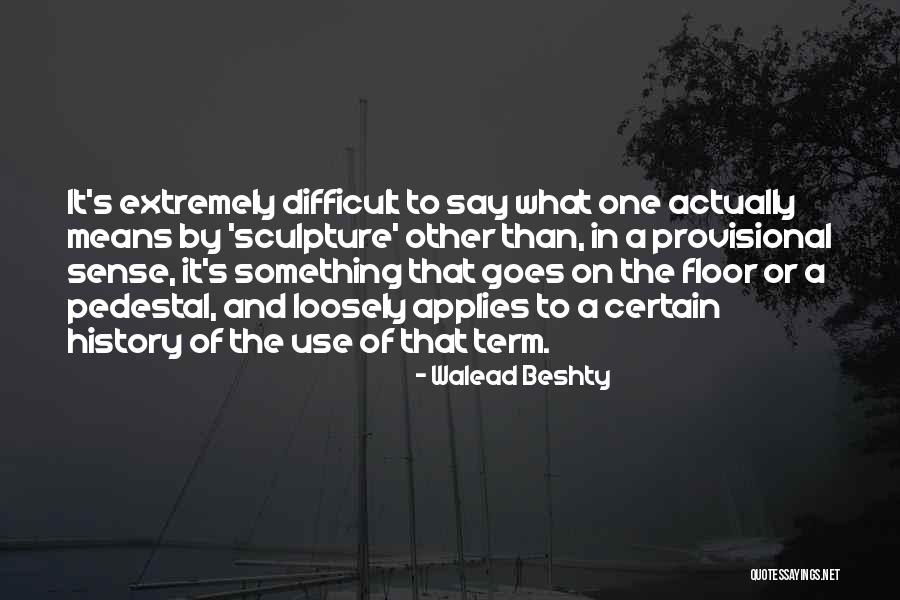 Walead Beshty Quotes 1789661 Walead Beshty Quotes 1789661