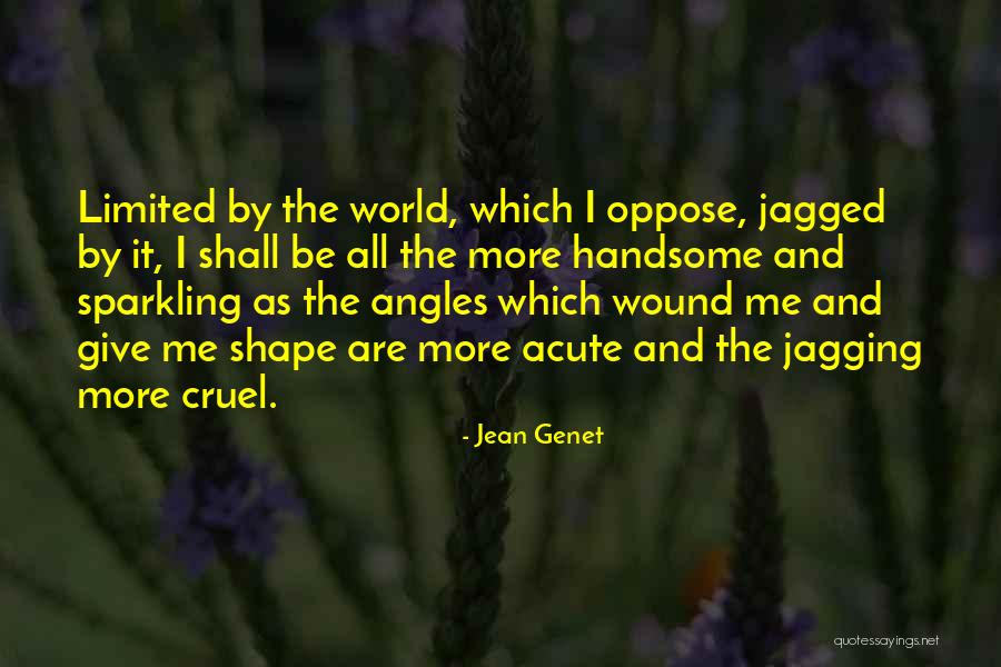 Walensee Switzerland Quotes By Jean Genet Walensee Switzerland Quotes By Jean Genet