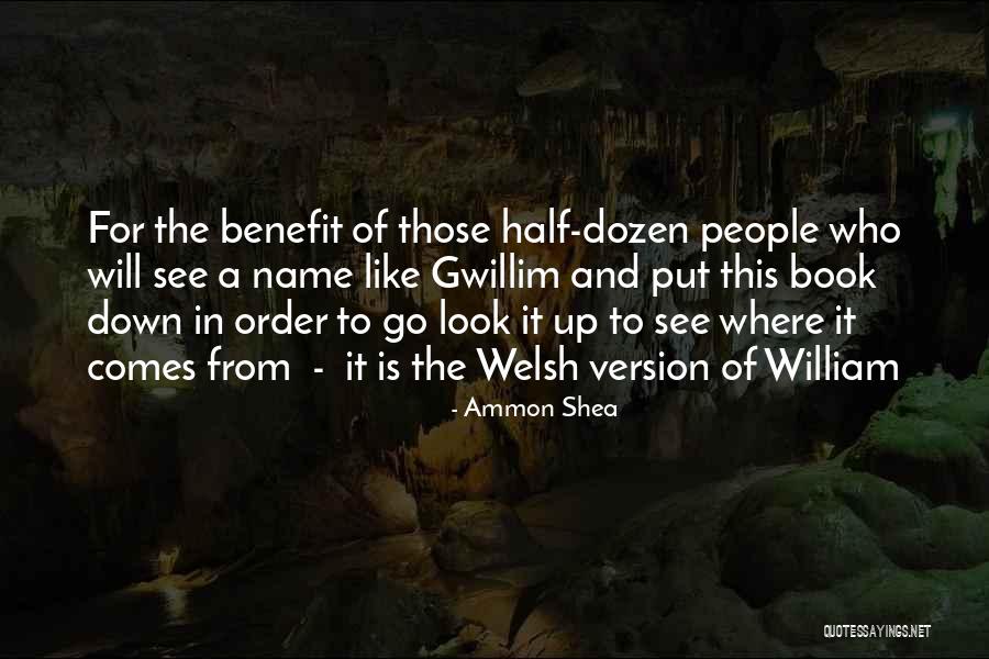 Wales Best Quotes By Ammon Shea