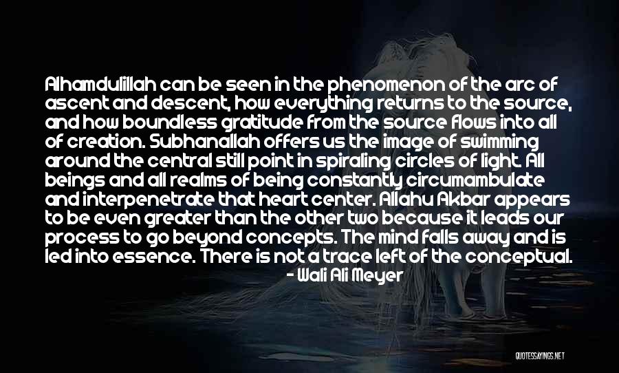 Wali Ali Meyer Quotes 378336 Wali Ali Meyer Quotes 378336