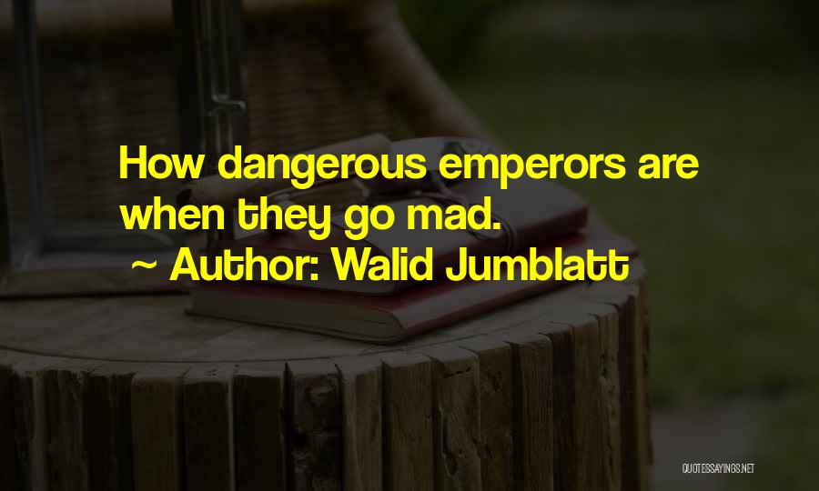 Walid Jumblatt Quotes 824710