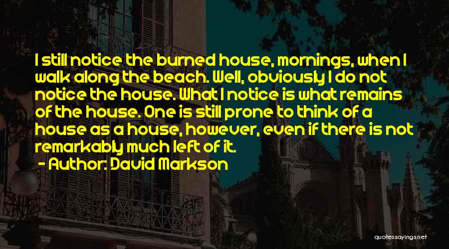 Walk Along Beach Quotes By David Markson